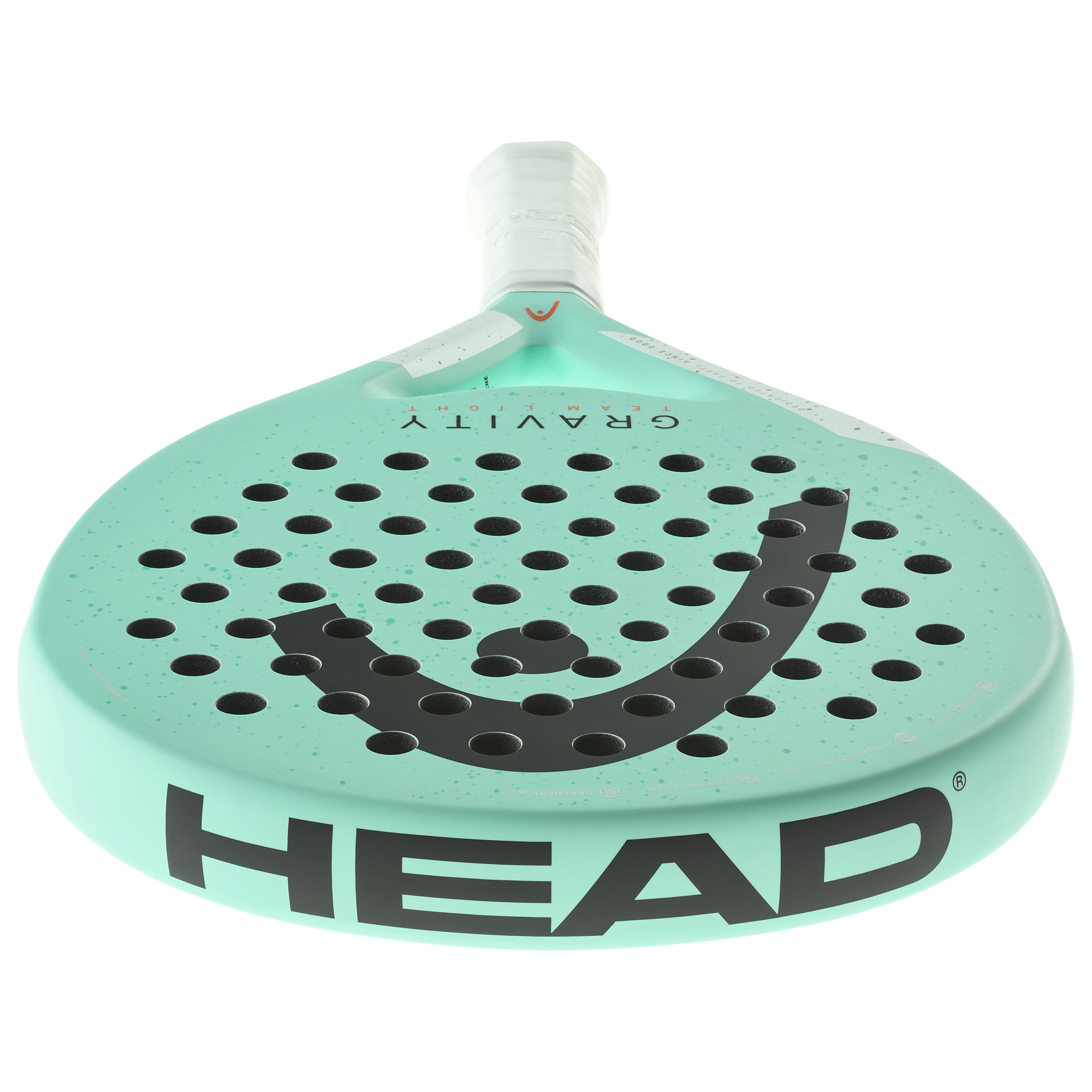 Gravity Team Light 2024