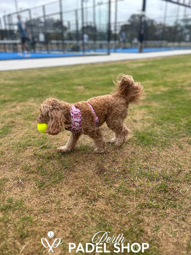 Ultimate Tournament - 28/09