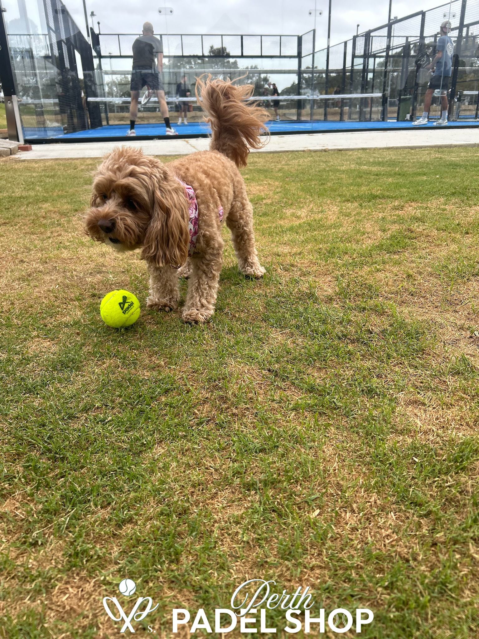 Ultimate Tournament - 28/09