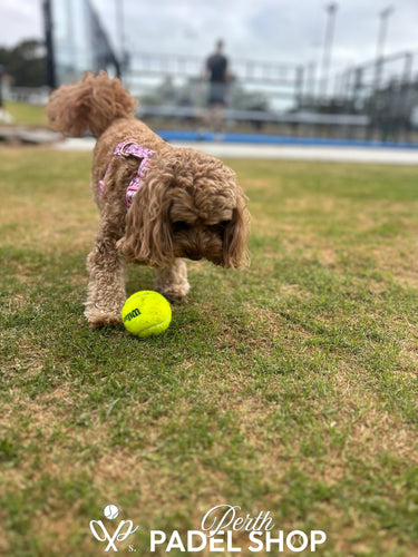 Ultimate Tournament - 28/09